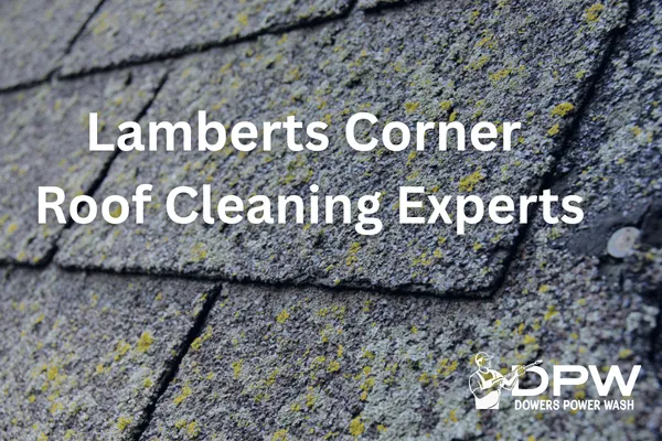 Lamberts Corner Roof Cleaning