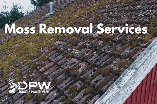 Yelm moss removal and treatement