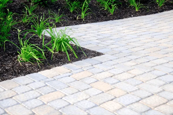 Olympia concrete cleaning paver cleaning