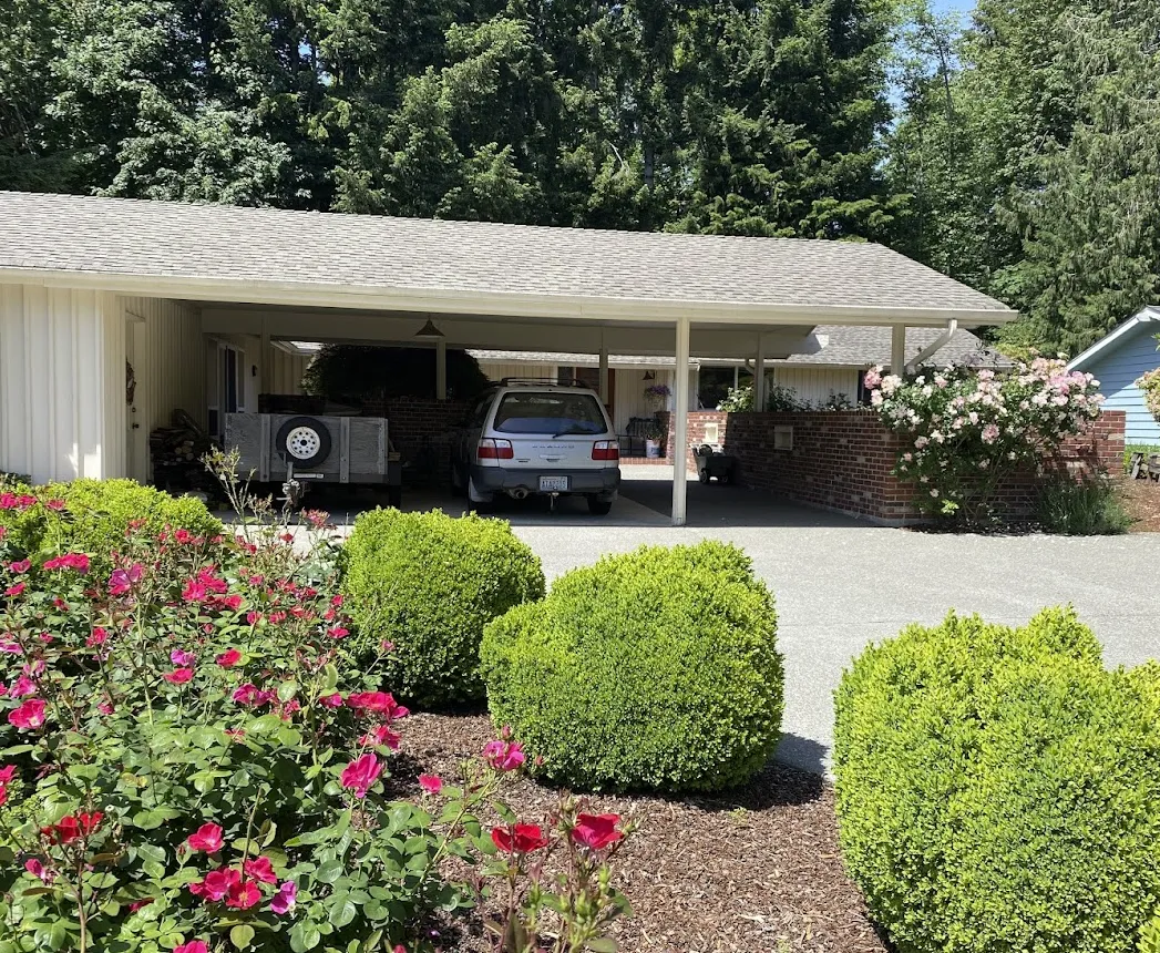 moss cleaning for roofs