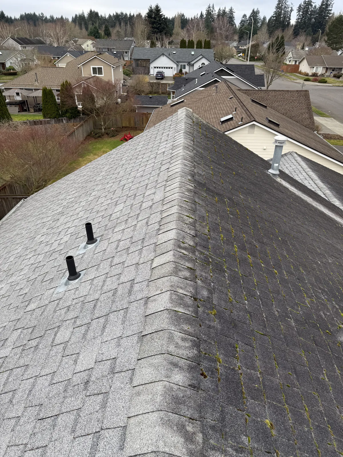 Roof being professionally cleaned to remove moss and debris