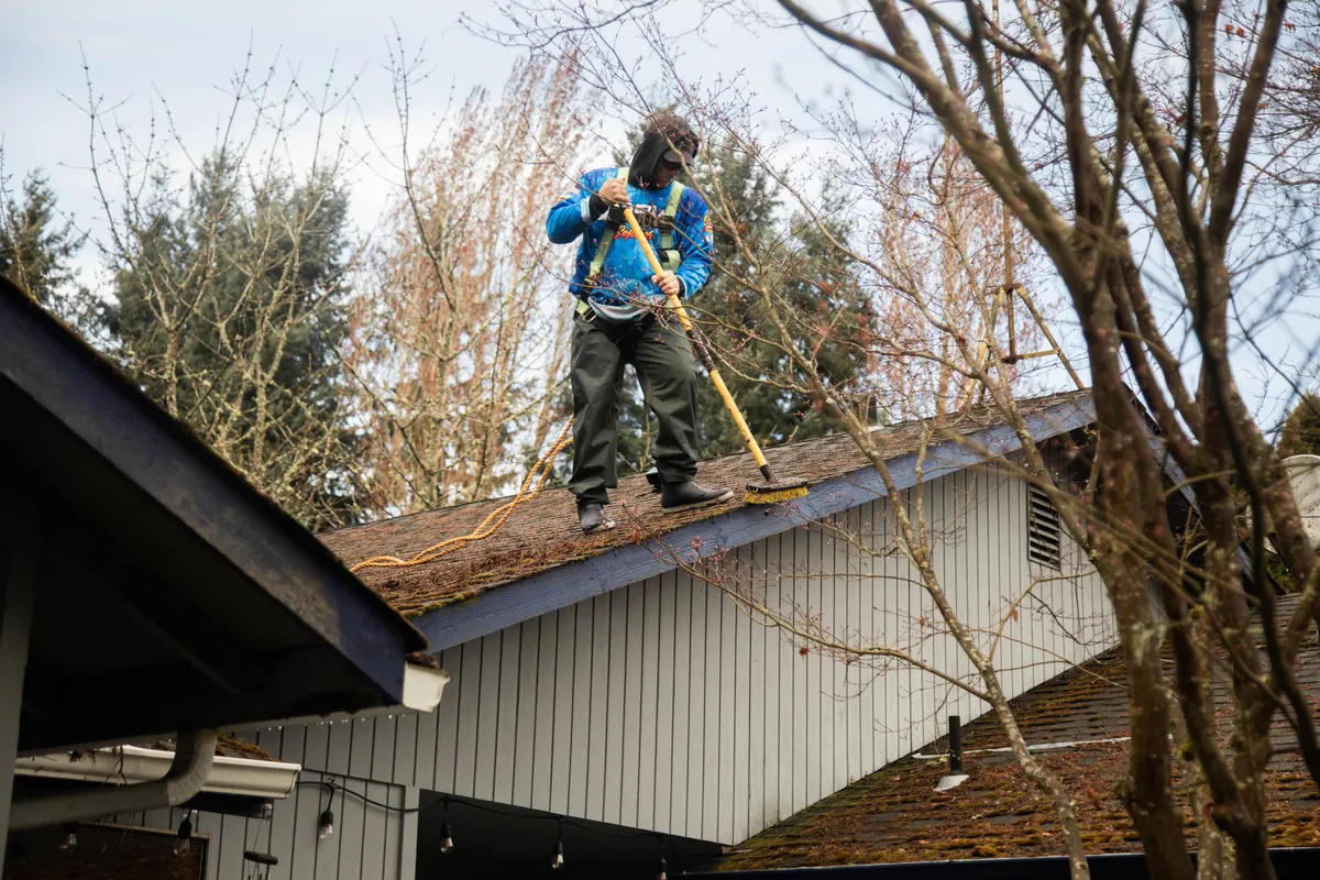 before roof cleaning Olympia Washington