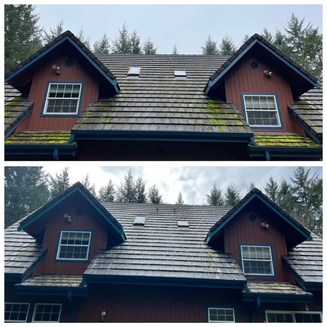 Crew removing moss from roof