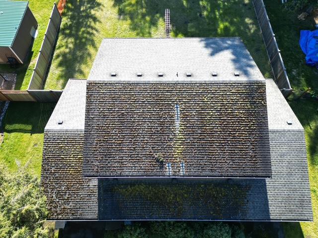 professional Olympia roof cleaning cedar shingles
