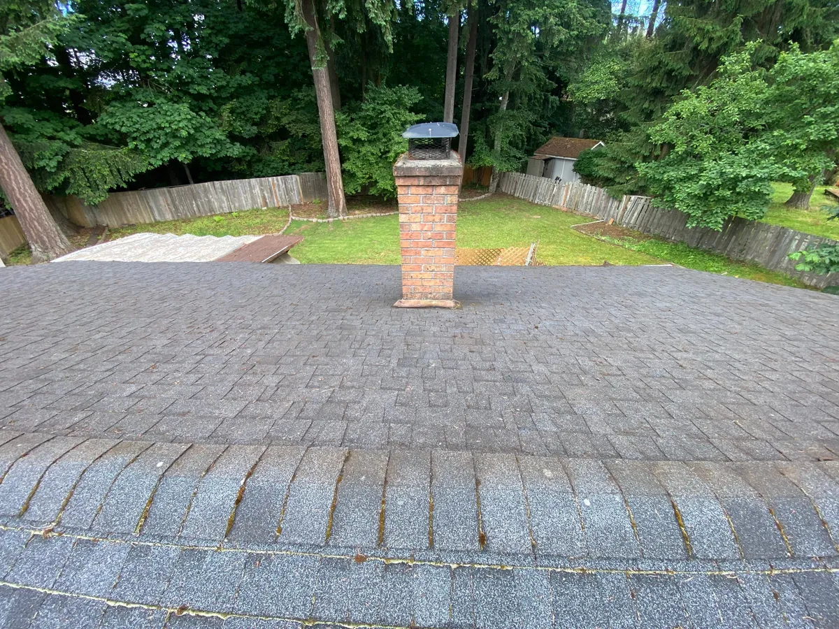 professional Olympia roof cleaning cedar shingles