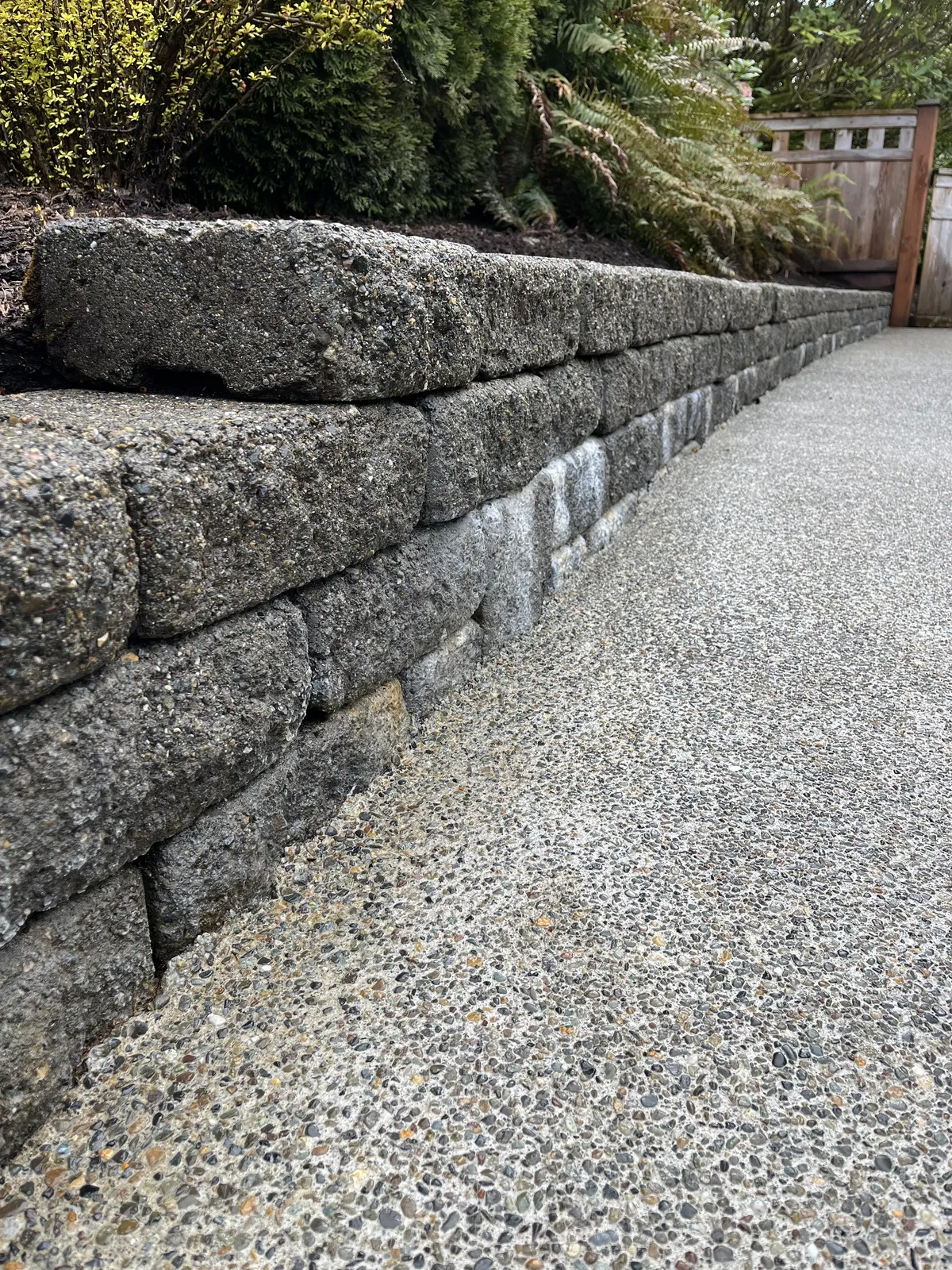 Olympia concrete cleaning patio driveway pavers