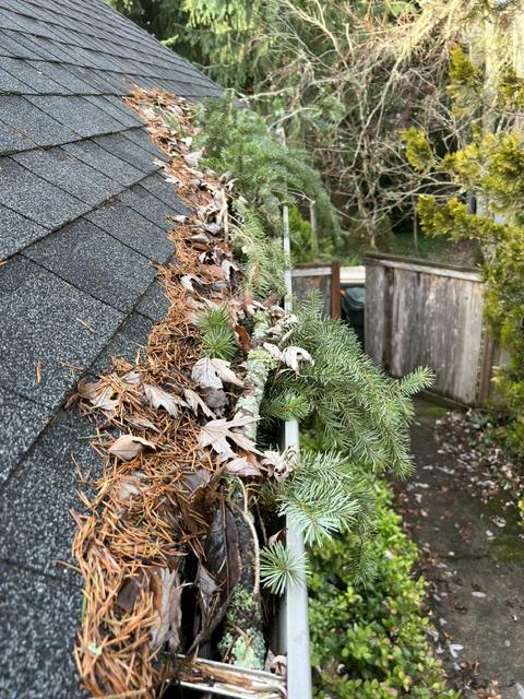 Olympia Washington Professional Gutter Cleaning Pressure Washing