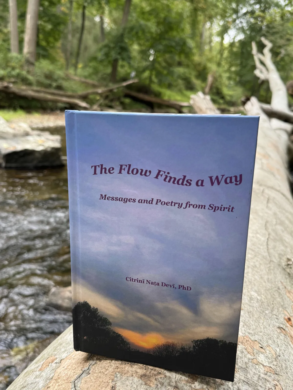 Flow front cover with river