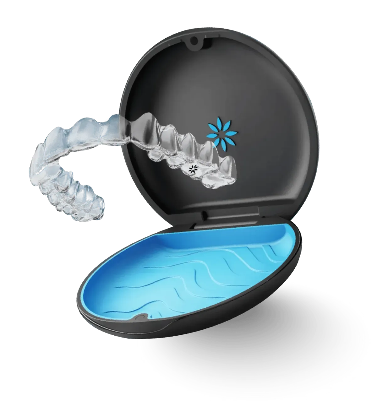 a close up of a tooth model on a table