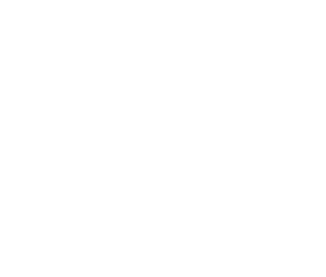 Hoover Handyman Services