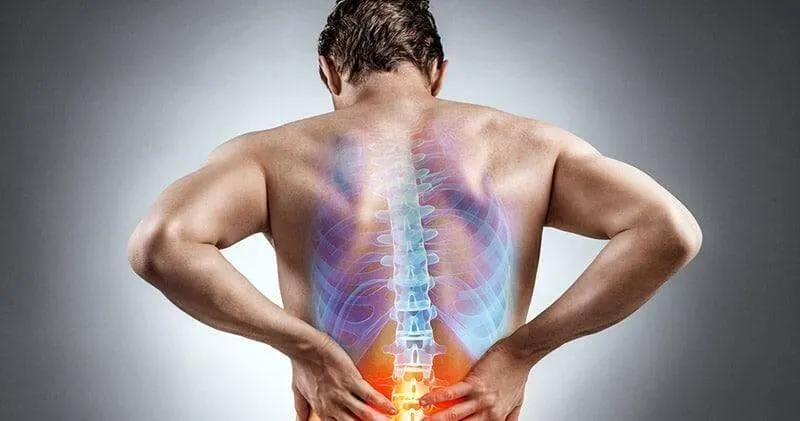 Evansville Chiropractor Back Pain