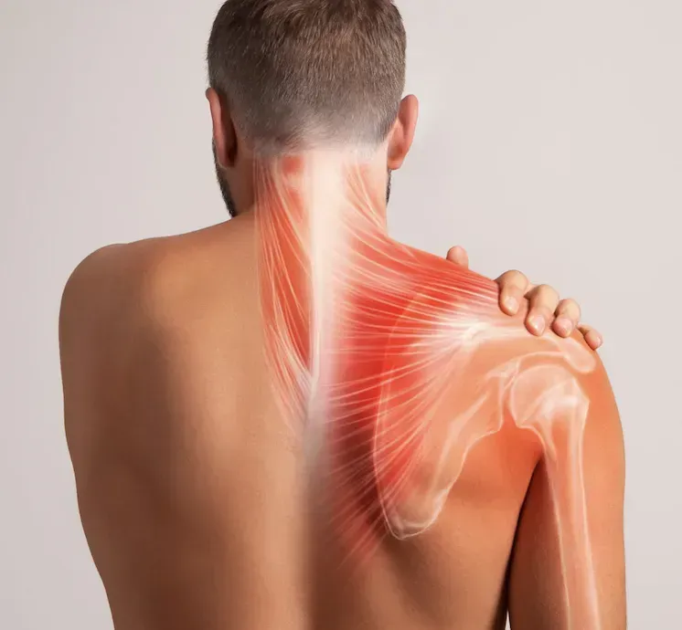 Ancient egyptian hieroglyphs on textured stone walls.