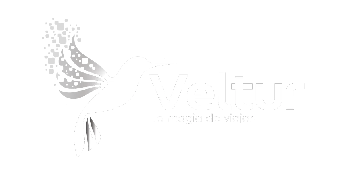 Veltur Travel Logo