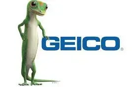 Geico Insurance logo for storm damage insurance claims