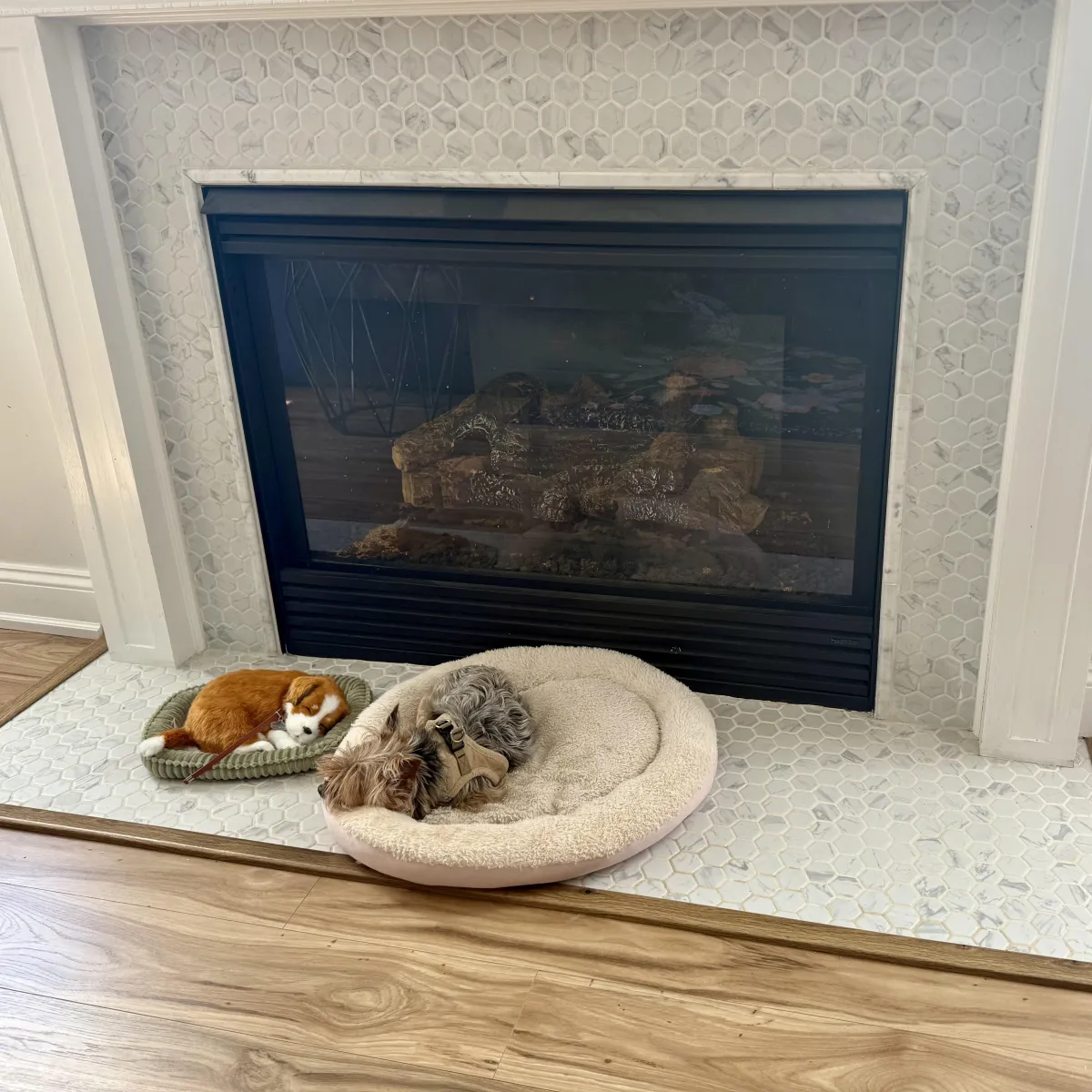 Gas Fireplace Repair and Installation Services