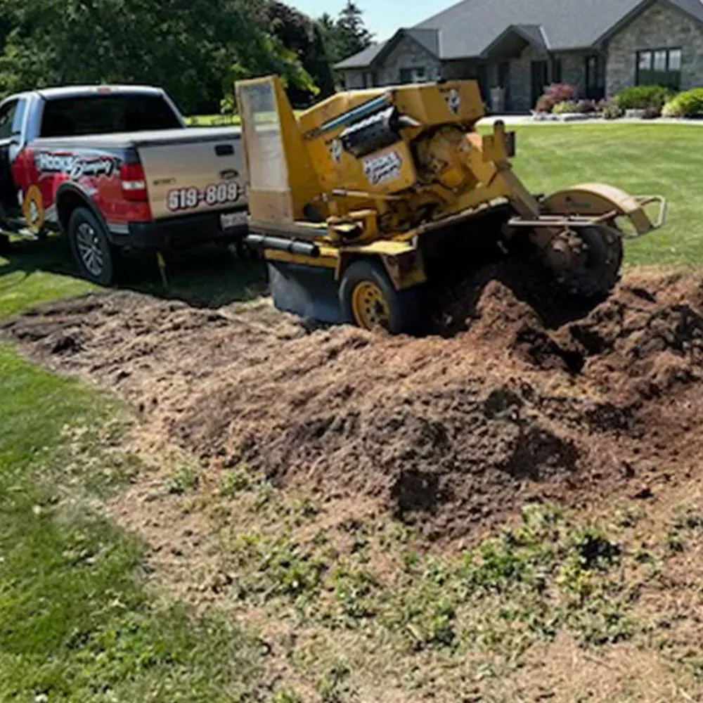 Hooks stumping equipment in chatham ontario