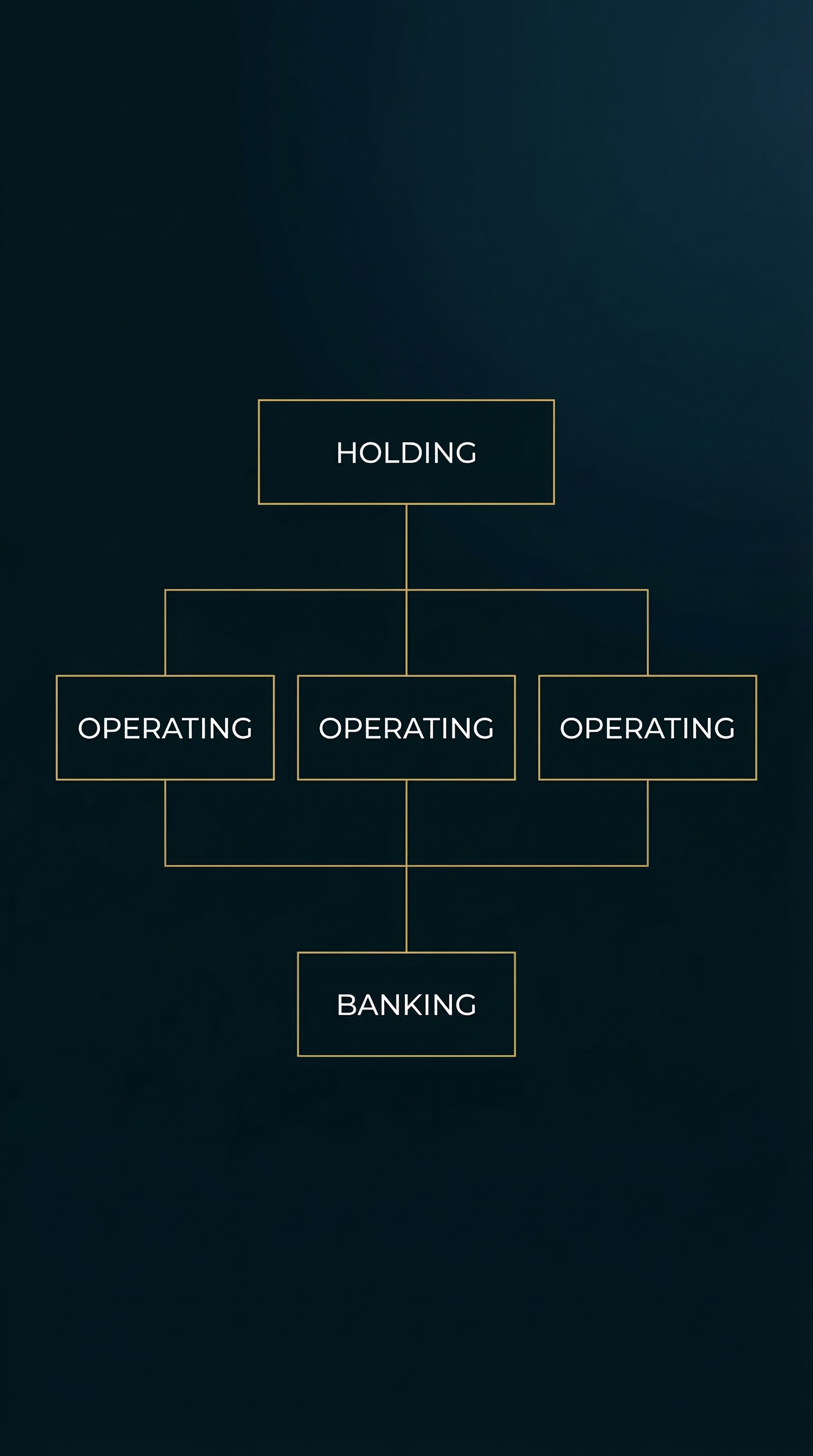 International corporate structure diagram showing a holding entity connected to operating entities and a banking layer.