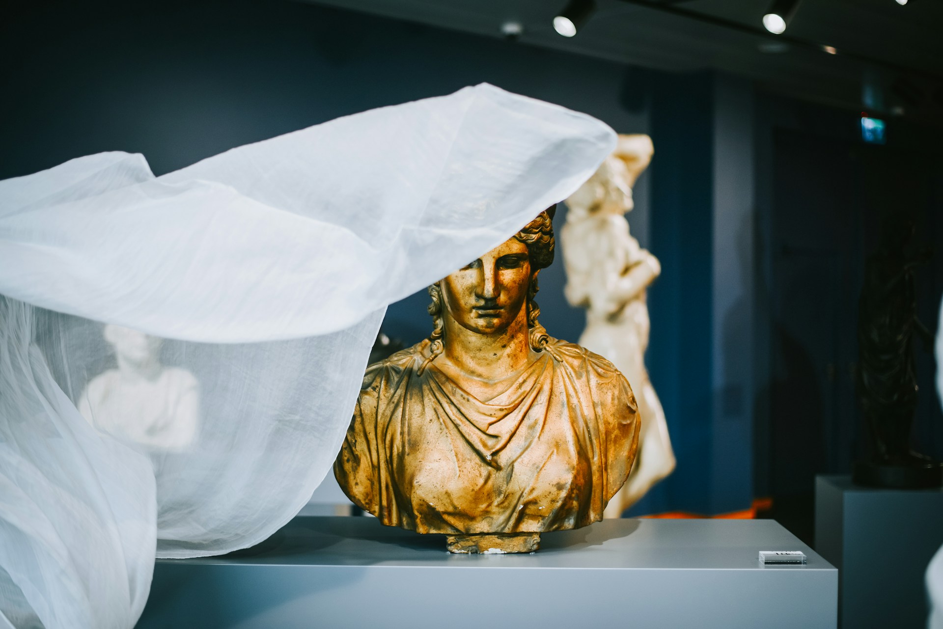 selective focus photography of light bulb