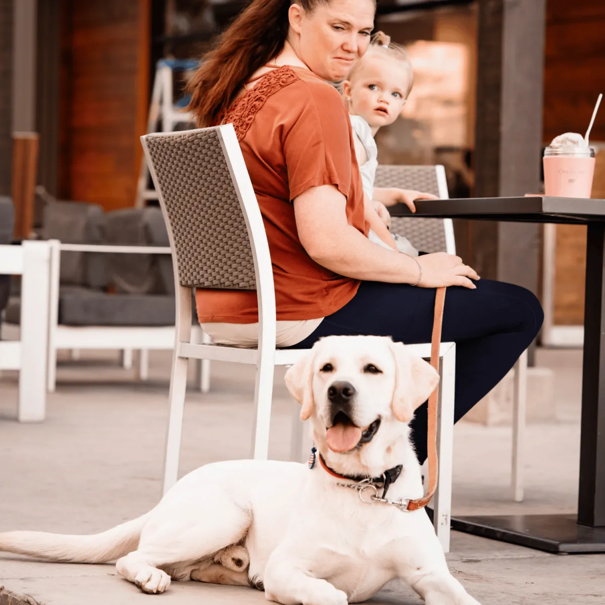 dog board and train, training for dogs, obedience training, dog trainer near me, board and train for aggressive/reactive dog, potty training, dog trainer, dog trainer near me, dog boarding near me, puppy training classes near me, dog won't listen, "dog pulling on leash, dog jumping on people, how to stop dog from barking, reactive dog help, puppy training, puppy, recall, off leash, bad dog