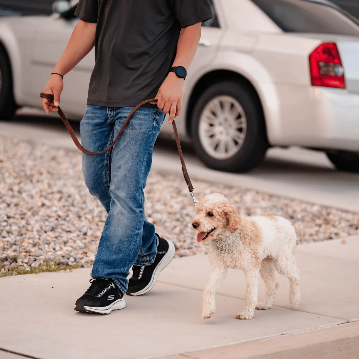 dog board and train, training for dogs, obedience training, dog trainer near me, board and train for aggressive/reactive dog, potty training, dog trainer, dog trainer near me, dog boarding near me, puppy training classes near me, dog won't listen, "dog pulling on leash, dog jumping on people, how to stop dog from barking, reactive dog help, puppy training, puppy, recall, off leash, bad dog