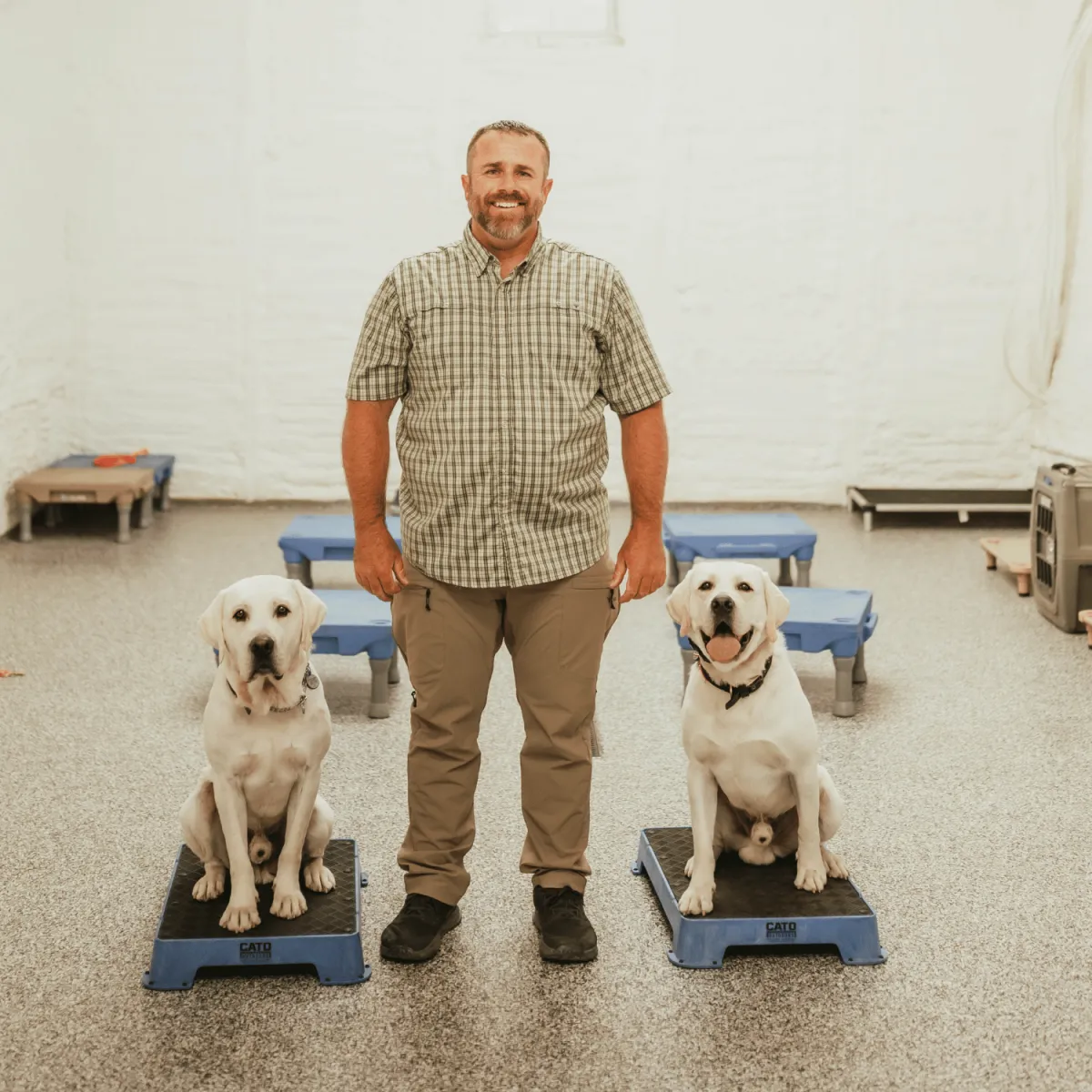 dog board and train, training for dogs, obedience training, dog trainer near me, board and train for aggressive/reactive dog, potty training, dog trainer, dog trainer near me, dog boarding near me, puppy training classes near me, dog won't listen, "dog pulling on leash, dog jumping on people, how to stop dog from barking, reactive dog help, puppy training, puppy, recall, off leash, bad dog