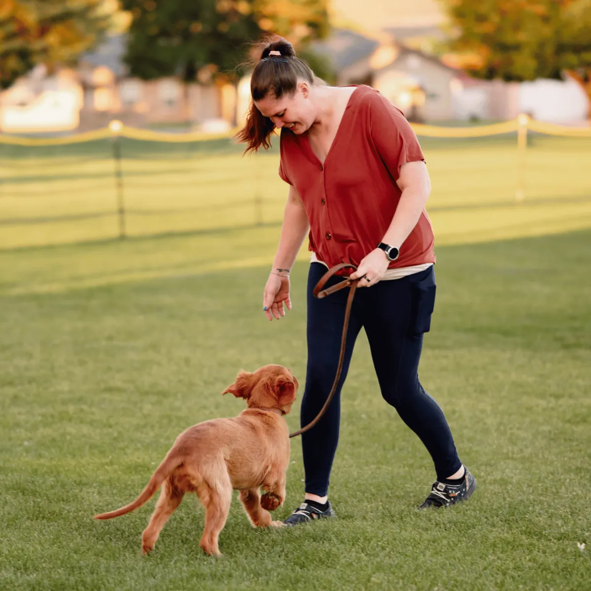 dog board and train, training for dogs, obedience training, dog trainer near me, board and train for aggressive/reactive dog, potty training, dog trainer, dog trainer near me, dog boarding near me, puppy training classes near me, dog won't listen, "dog pulling on leash, dog jumping on people, how to stop dog from barking, reactive dog help, puppy training, puppy, recall, off leash, bad dog