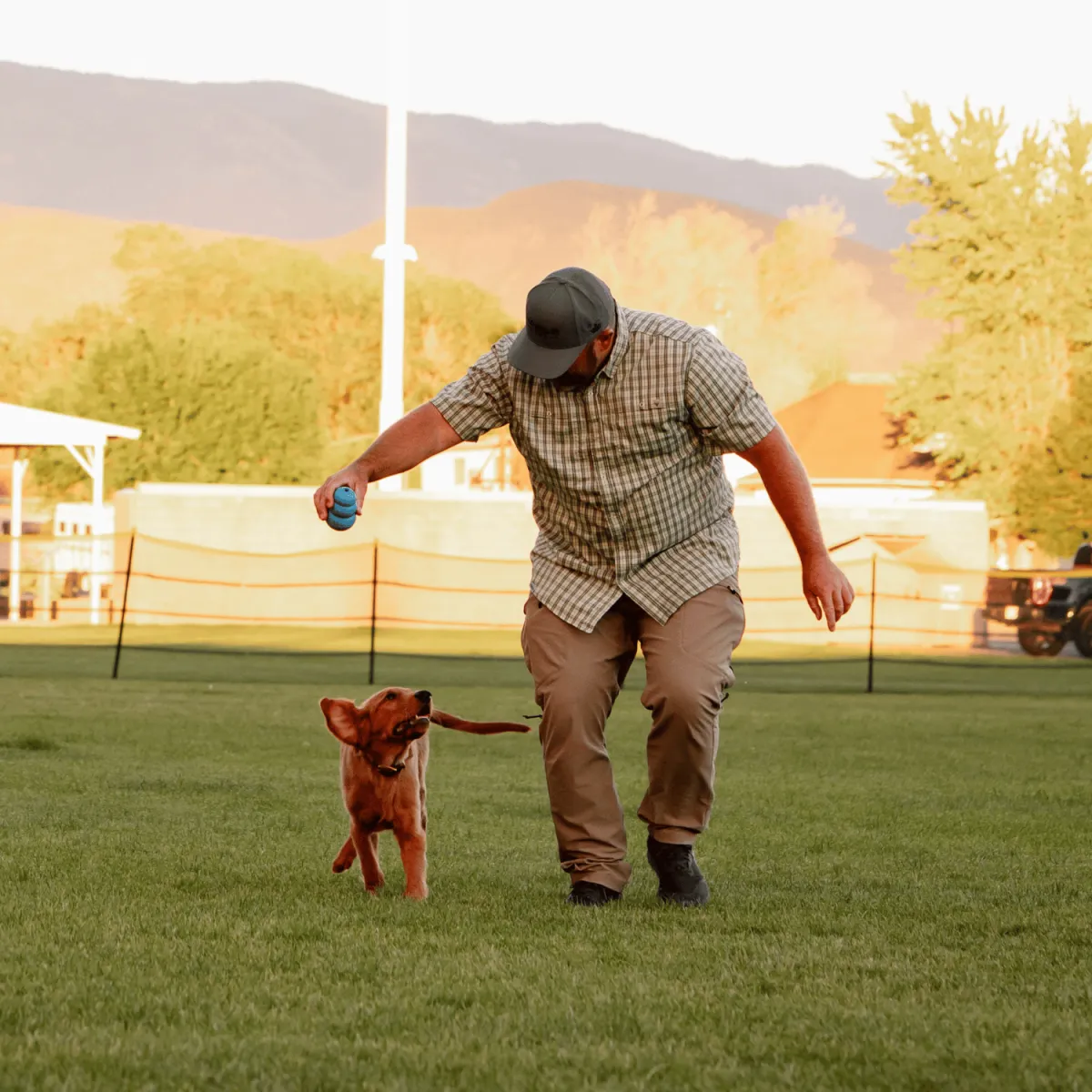 dog board and train, training for dogs, obedience training, dog trainer near me, board and train for aggressive/reactive dog, potty training, dog trainer, dog trainer near me, dog boarding near me, puppy training classes near me, dog won't listen, "dog pulling on leash, dog jumping on people, how to stop dog from barking, reactive dog help, puppy training, puppy, recall, off leash, bad dog
