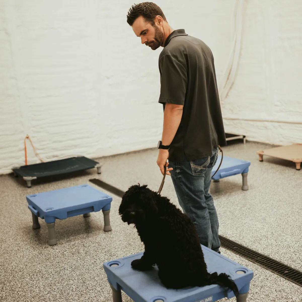 dog board and train, training for dogs, obedience training, dog trainer near me, board and train for aggressive/reactive dog, potty training, dog trainer, dog trainer near me, dog boarding near me, puppy training classes near me, dog won't listen, "dog pulling on leash, dog jumping on people, how to stop dog from barking, reactive dog help, puppy training, puppy, recall, off leash, bad dog