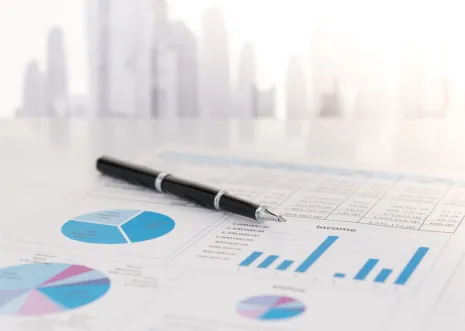 Customized Reports Ultra Tax Pro