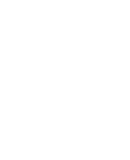 safe and secure ivesing