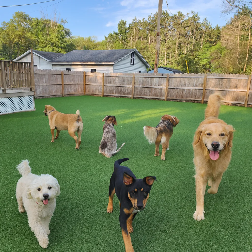 a close up of a mossy surface with trees in the background