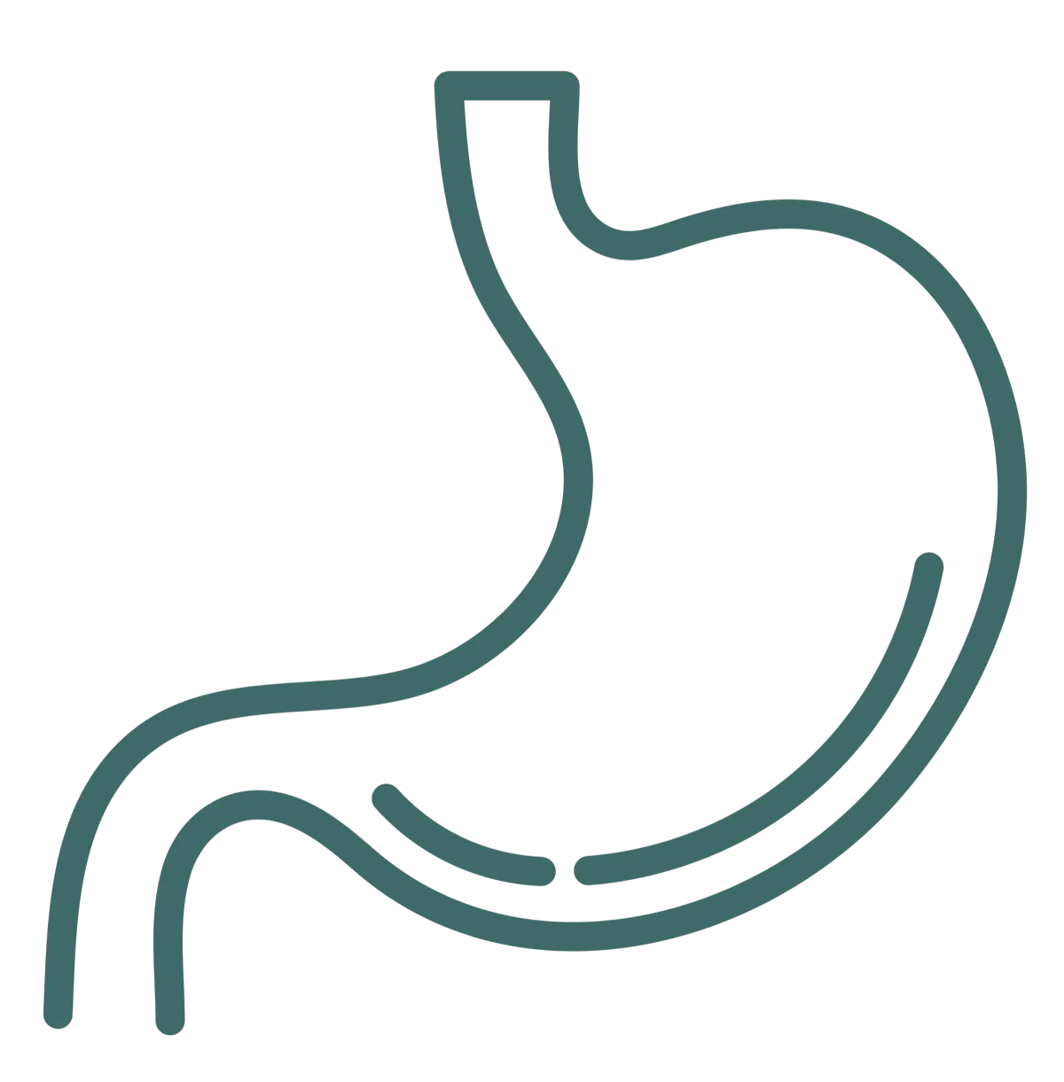 Easier digestion icon