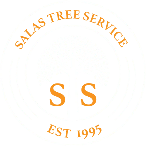 N & J Tree Services