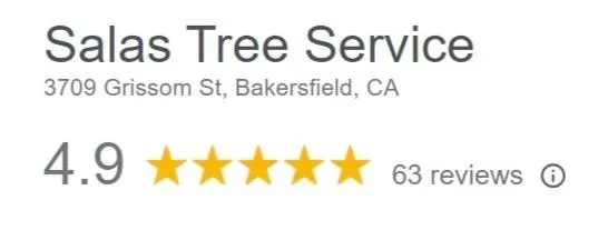 Google Reviews Bakersfield CA