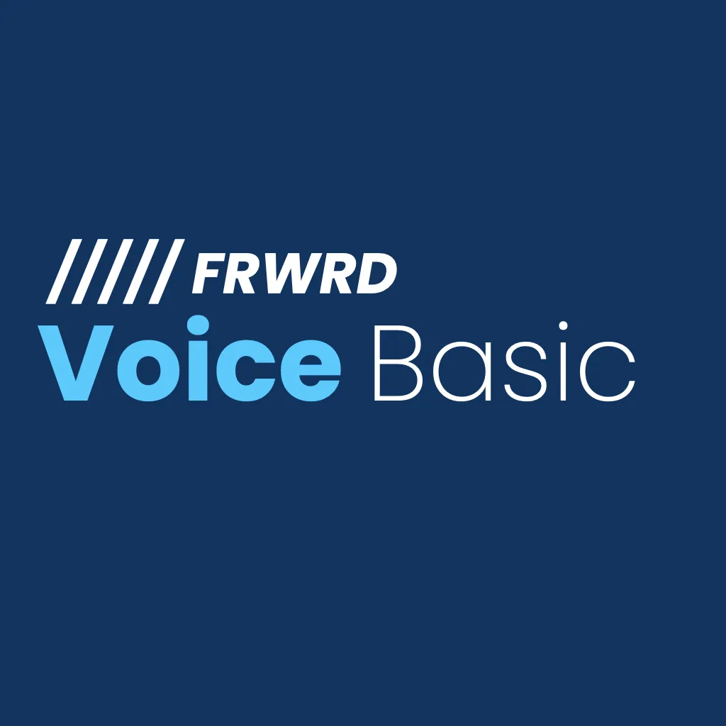 Voice Basic