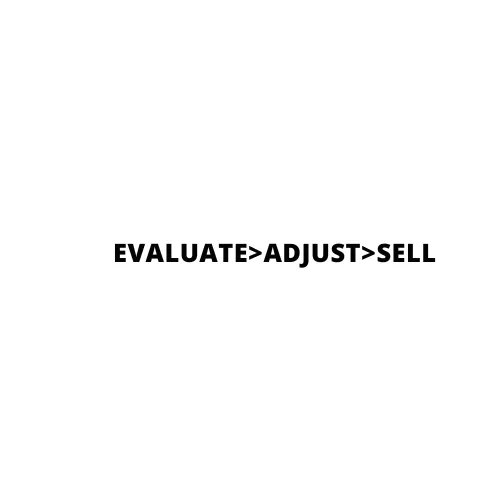 Business Evaluation & Consulting 