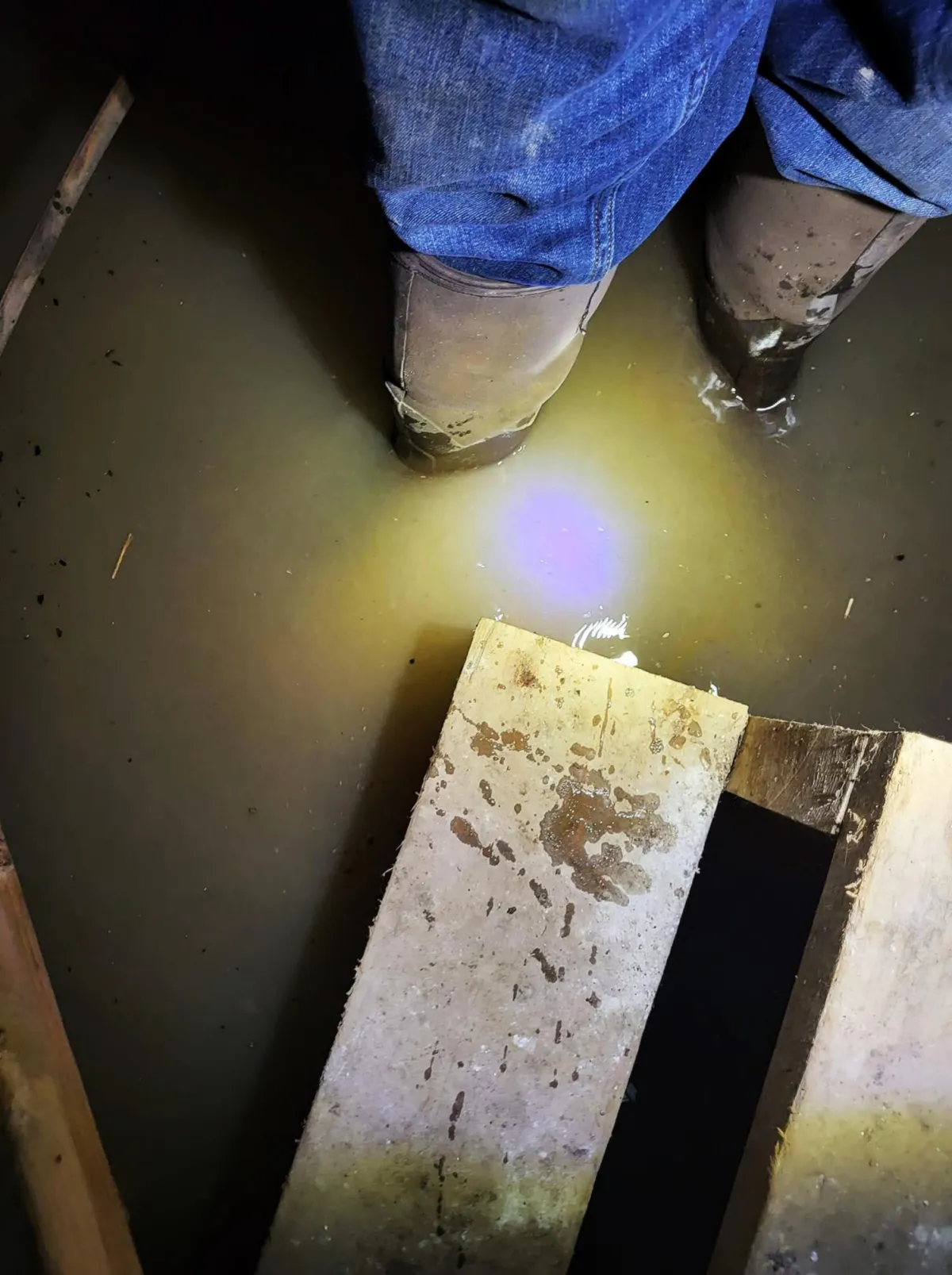 wet basement