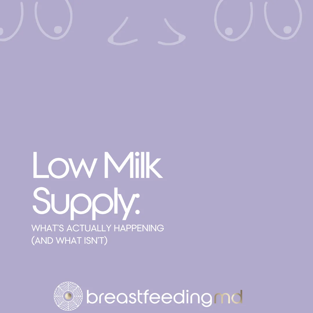 Low Milk Supply: What's Actually Happening (And What Isn't) — blog cover from Breastfeeding MD, with line illustrations of breasts in varied shapes