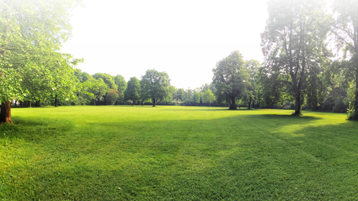 Large Open Areas