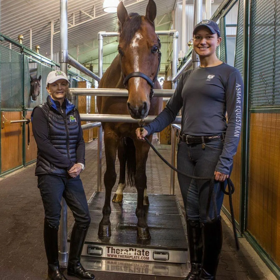 Horse standing on theraplate with its owners