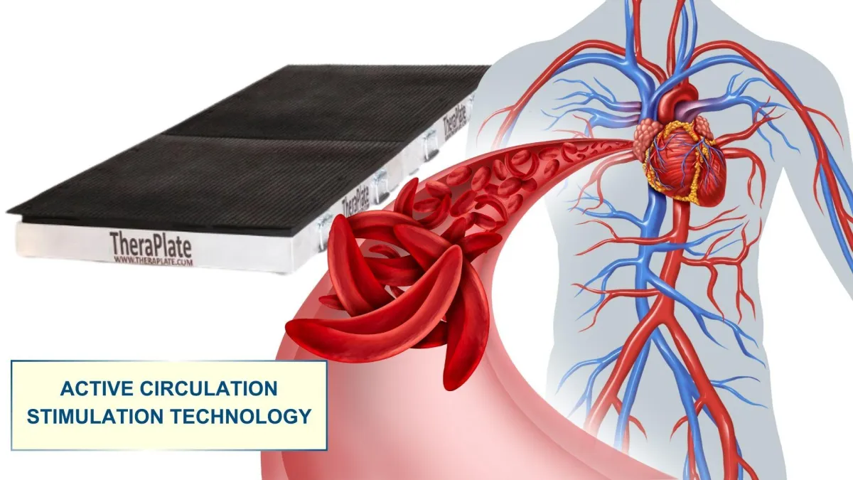 Theraplate with Active Circulation Stimulation Technology