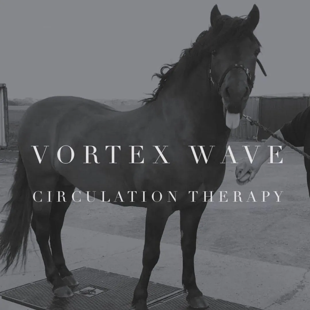 Vortex Wave Circulation Therapy