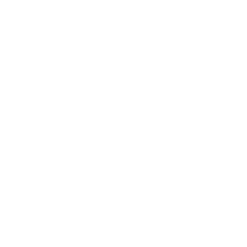 A padlock icon with "256" written on it, symbolizing encryption. The lock has lines extending to circles on either side, representing a network connection or digital interface.