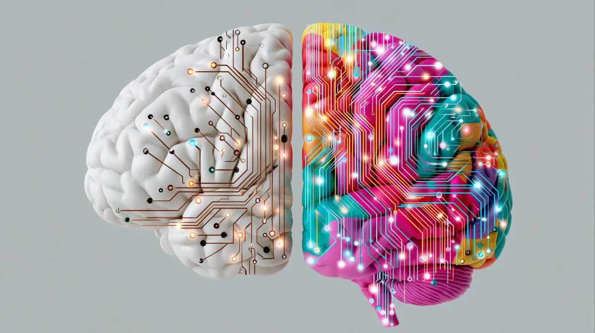 How Art and Color Aid Brain Injury Recovery?