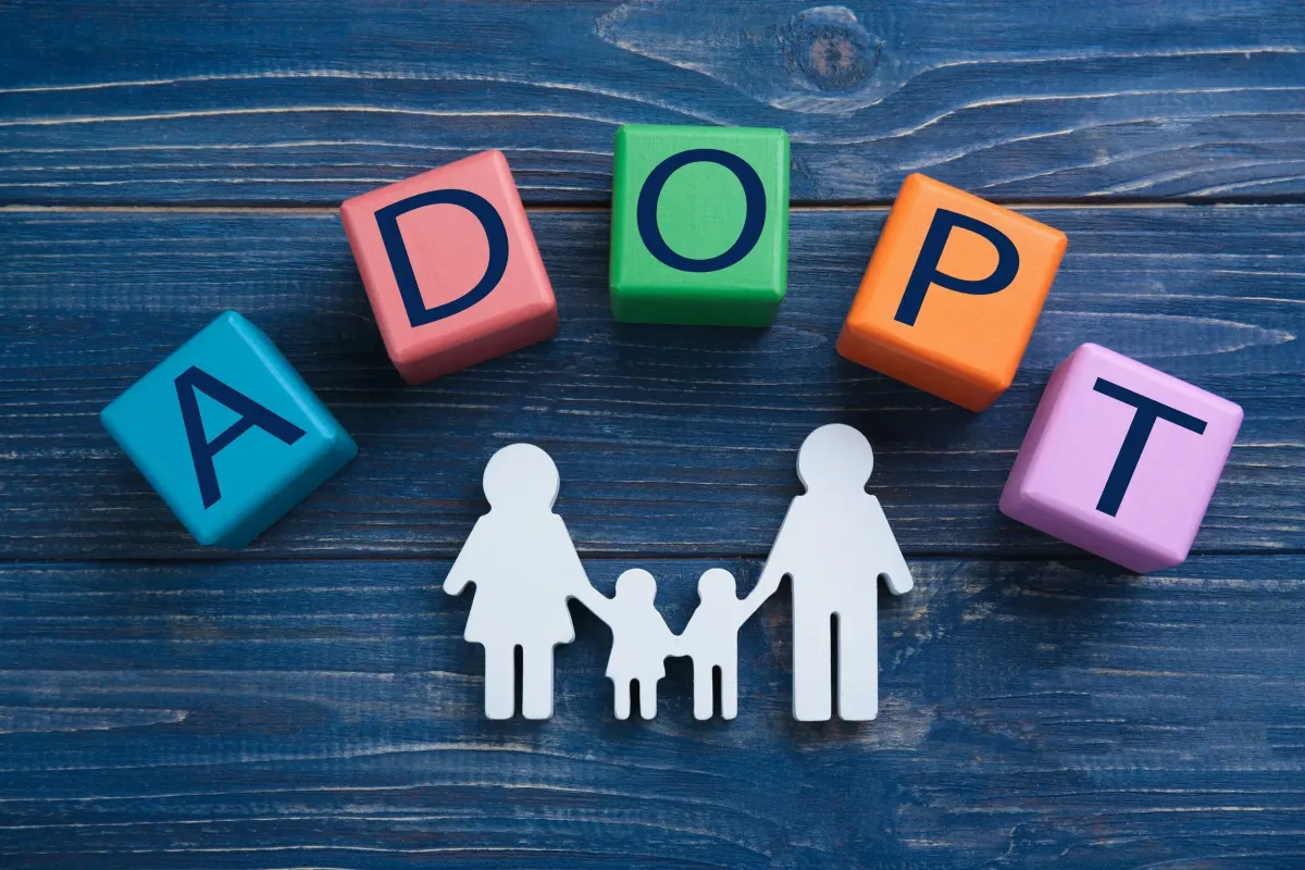 What is the adoption and fostering process REALLY like?