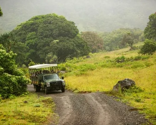 Jeep in Jungle Expedition at Kualoa Ranch