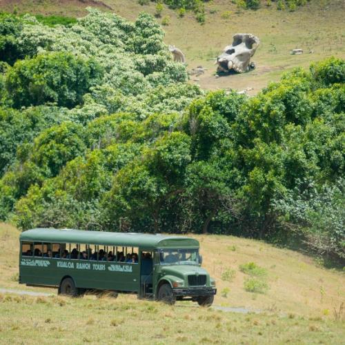 Bus in Kualoa Ranch with skull view 