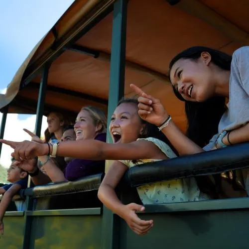 Tourists in the Kualoa Tour Bus