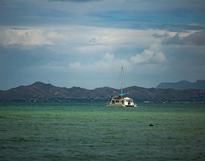 Catamaran in Ocean 