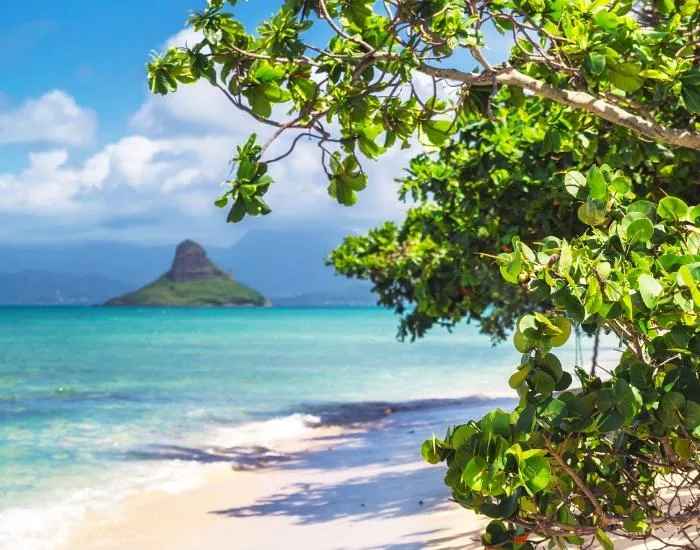 Chinaman's Hat Secret Island